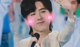 刘宇宁直播爆料最新消息视频,最新消息视频深度解析